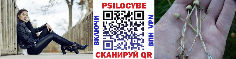 что такое наркотик  Липки  Псилоцибиновые грибы MAGIC MUSHROOMS 